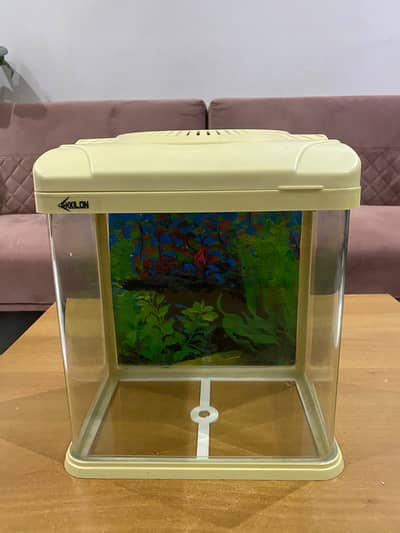 Small Fish Aquarium Tank
