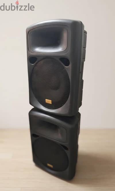 captain 15 inch passive speaker.