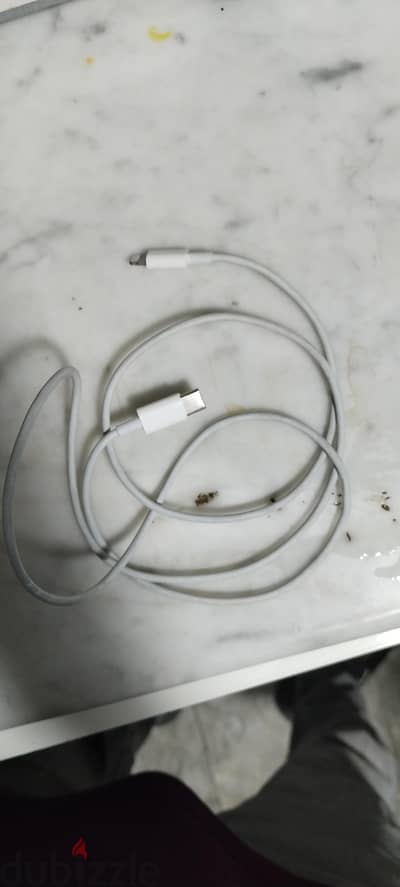apple original charger cebul