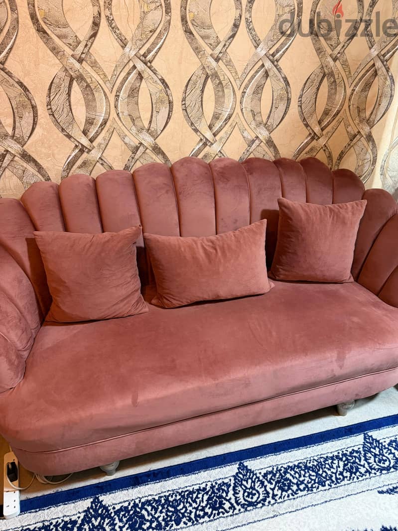 Rose Velvet fabric Sofa 4