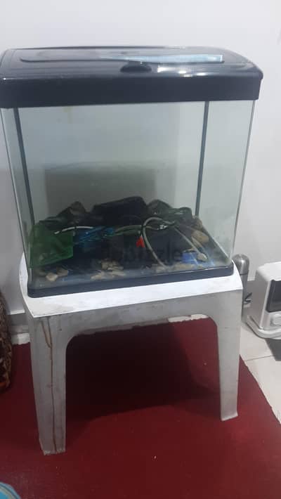 Aquarium for sale