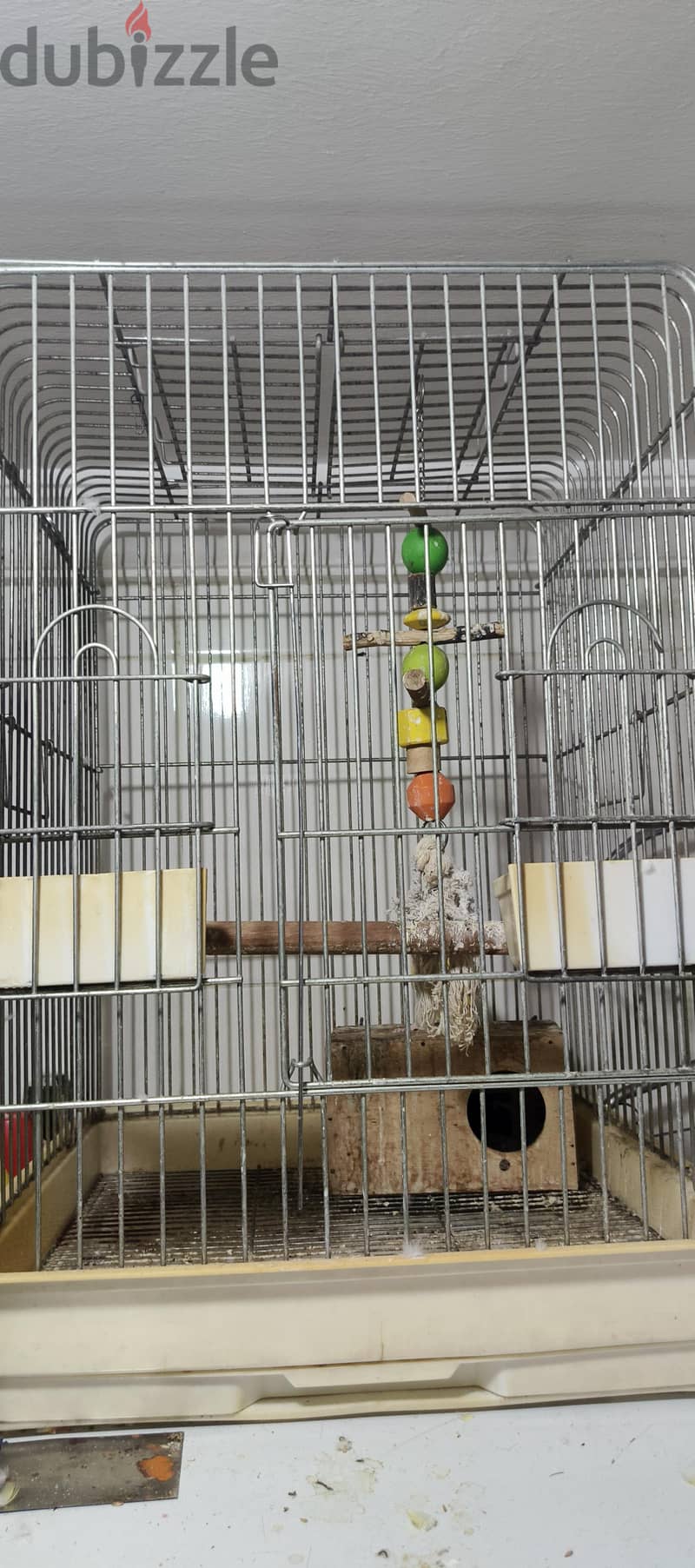 love birds 3
