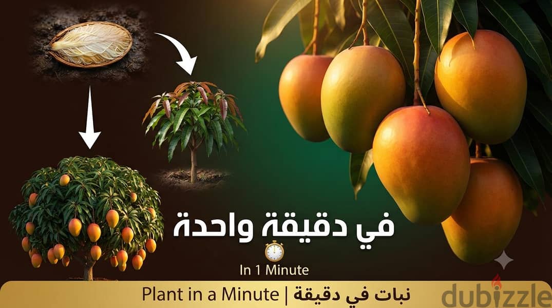 اصنع محتواك وحلقات رمضان 4