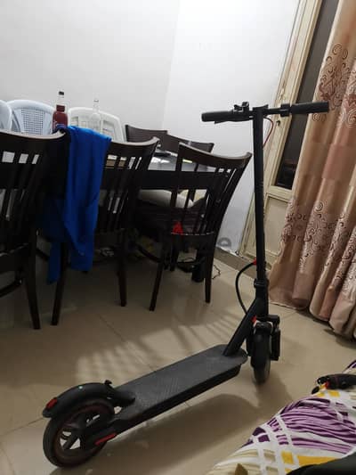 SCOOTER QUICKSELL