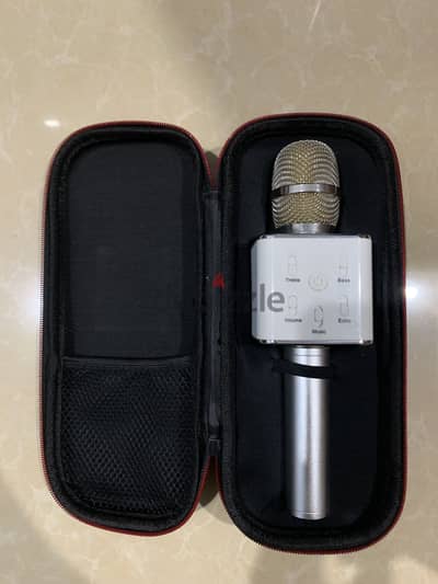 Portable mic
