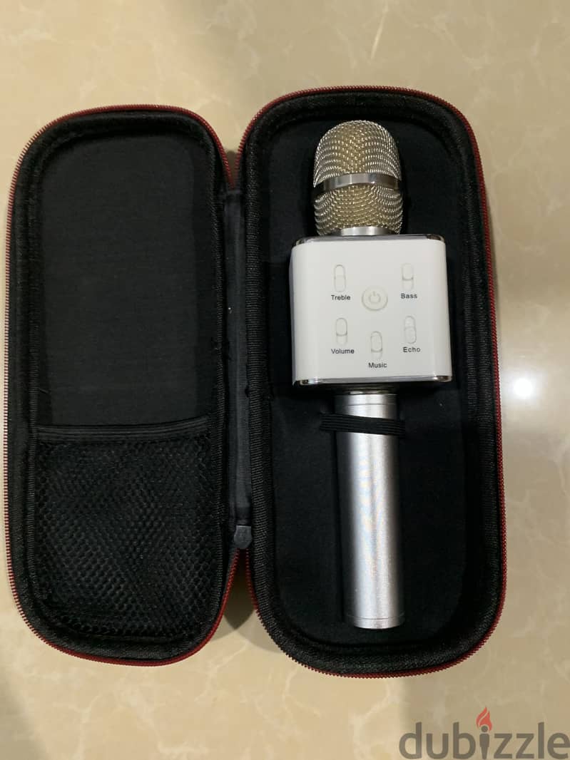 Portable mic 1