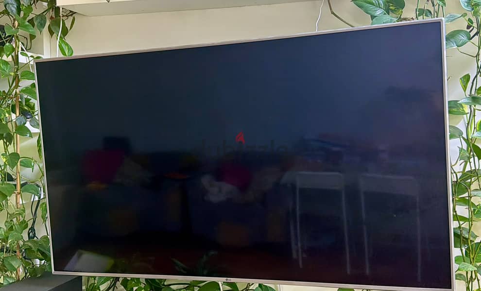 LG 65" 4K UHD SMART TV 1