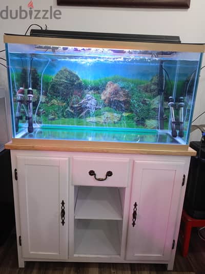 marina aquarium 55kd.