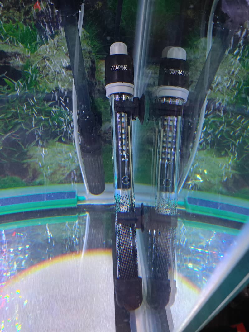 marina aquarium 55kd. 2