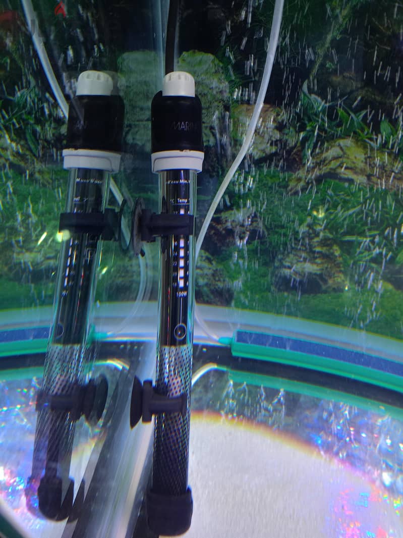 marina aquarium 55kd. 3
