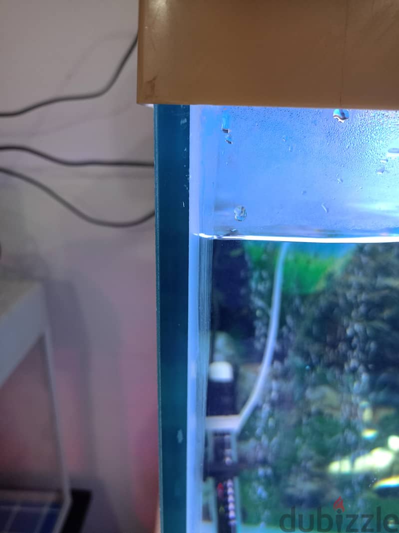 marina aquarium 55kd. 5