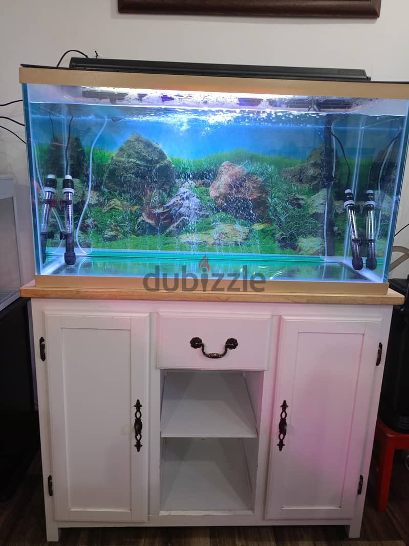 marina aquarium 55kd. 6