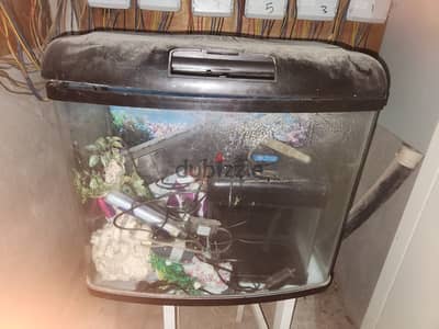 two fish tank  big one small fish tank  for sale