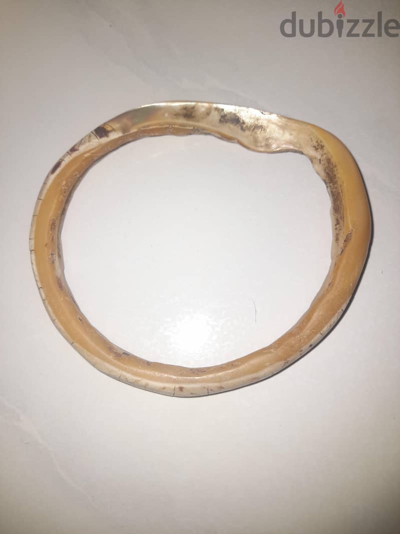 سوار جميل عمره 1556 عامًا 2