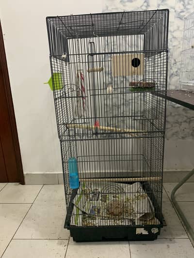 Bird cage with setup
