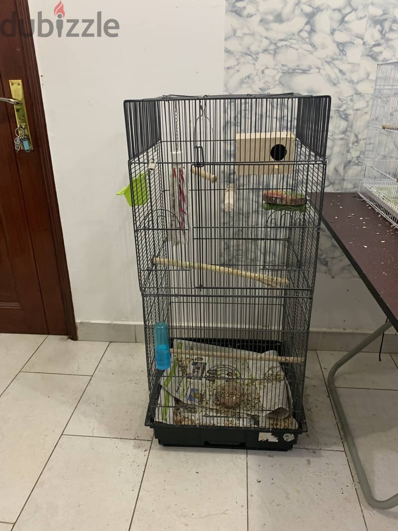 Bird cage with setup 1