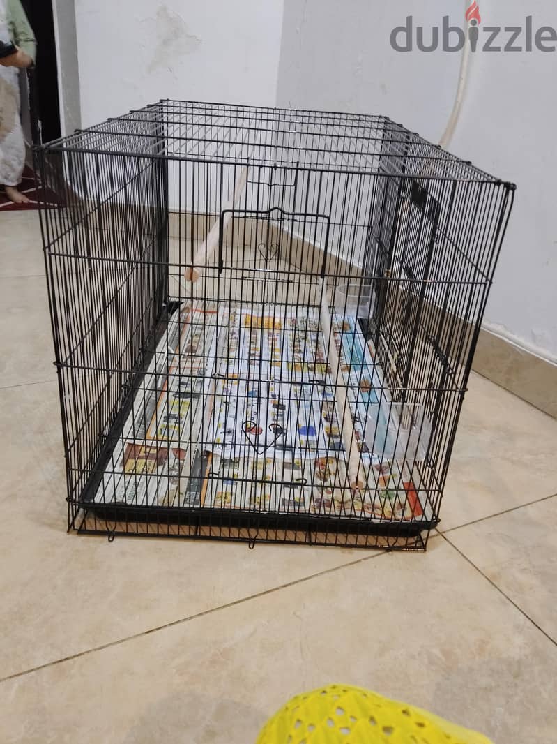 Large Cage for Birds 1