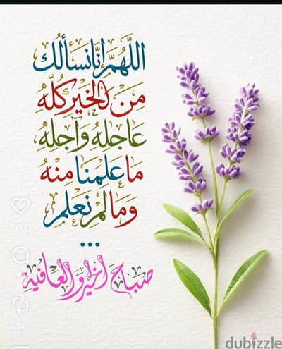 مشاركة سكن  سيدات في السالمية