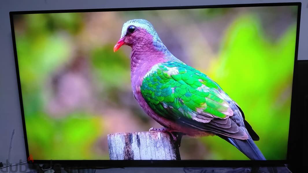 75 inch android smart TV with mi smart stick 5