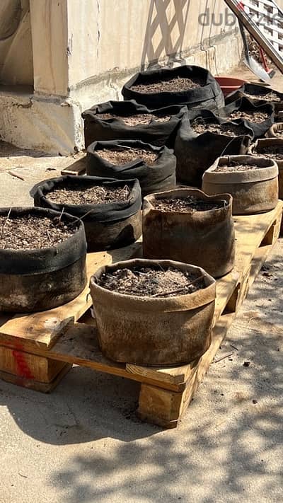 Fabric Pots