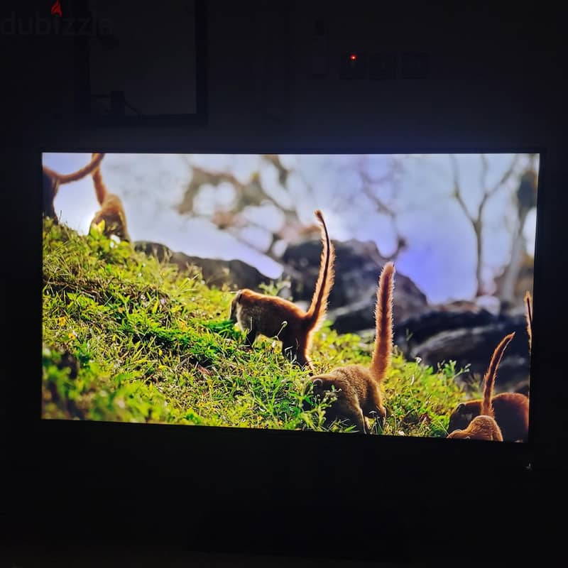 Samsung 55” 4K UHD Smart TV + Humax Receiver | Only 65 KD! 5