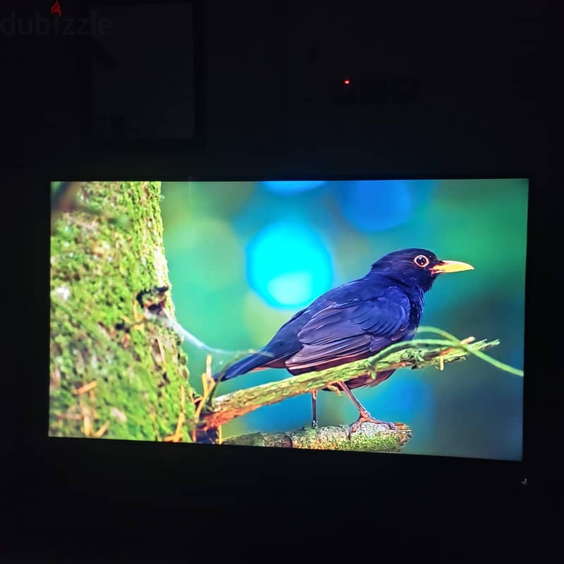 Samsung 55” 4K UHD Smart TV + Humax Receiver | Only 65 KD! 10
