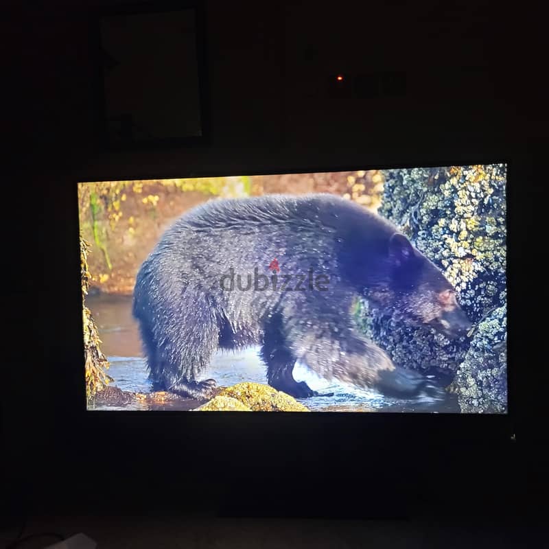 Samsung 55” 4K UHD Smart TV + Humax Receiver | Only 65 KD! 11