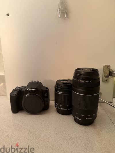 Canon 250d - 2 lens