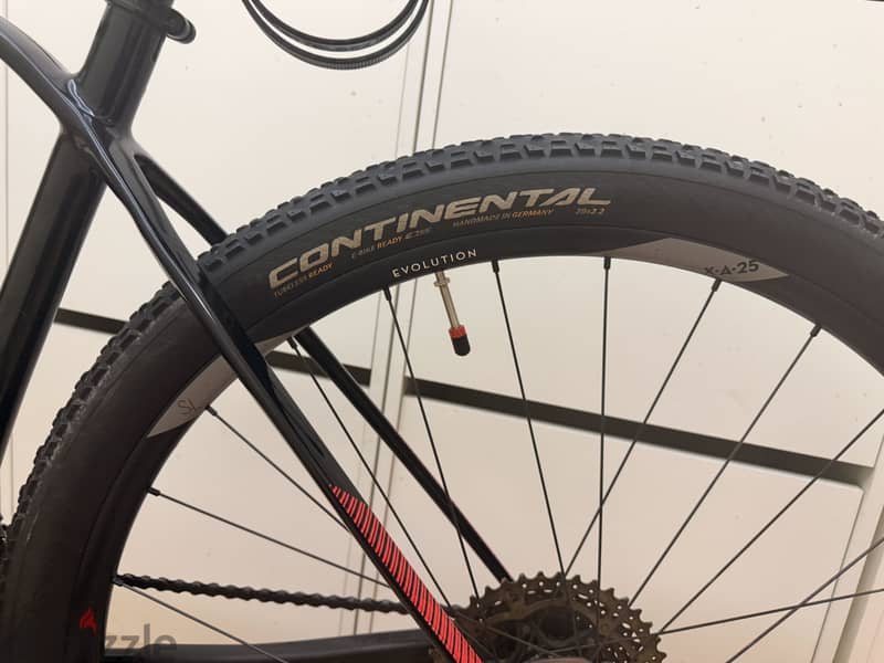 Rare Orbea Bike 10