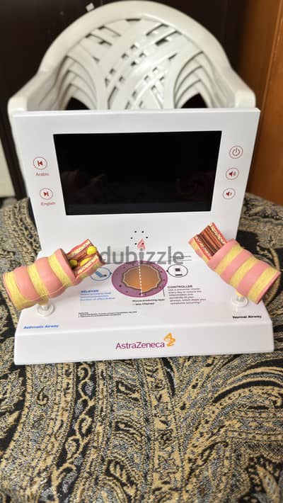 AstraZeneca Asthma Airway Educational Model
