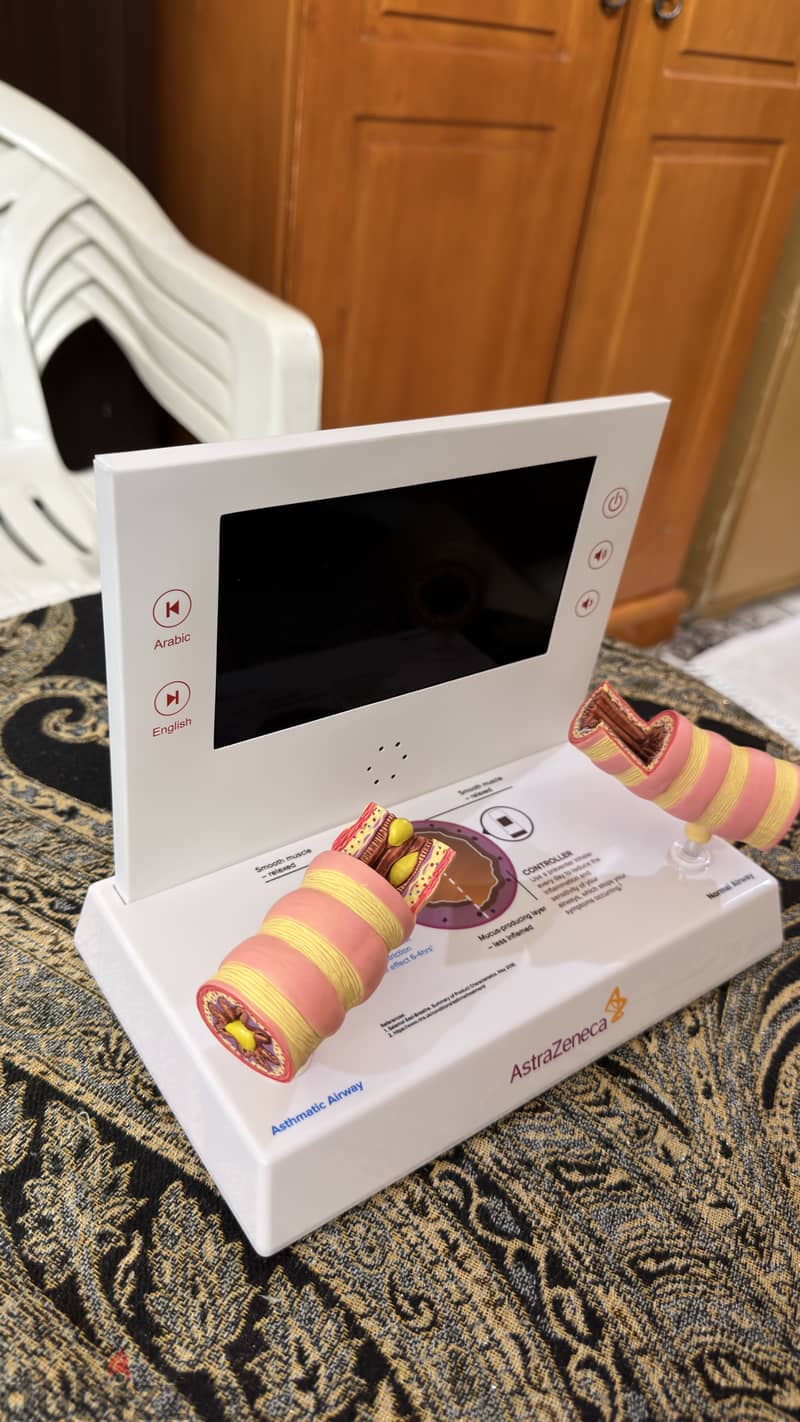 AstraZeneca Asthma Airway Educational Model 2