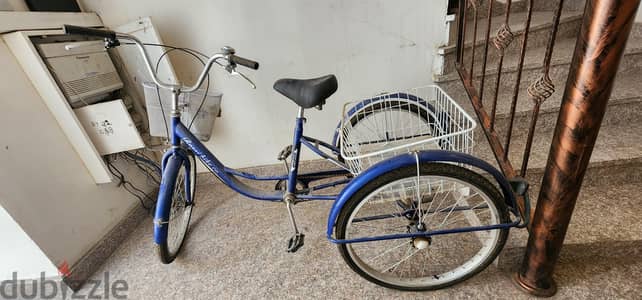 Tricycle for adults