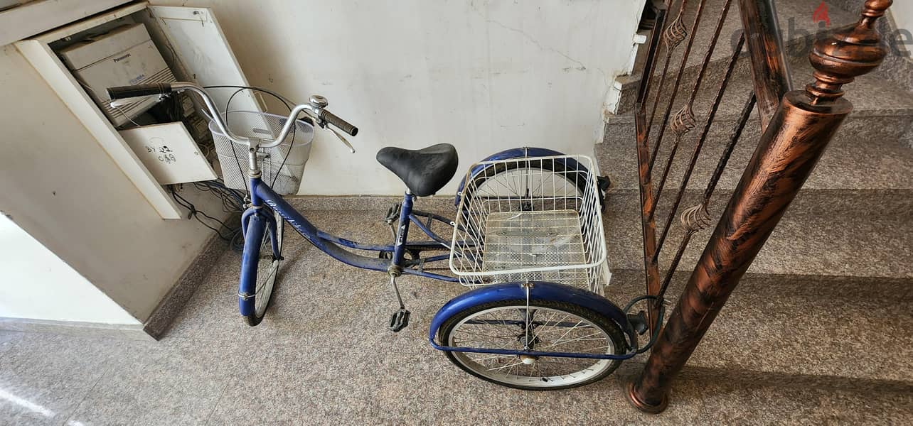 Tricycle for adults 1