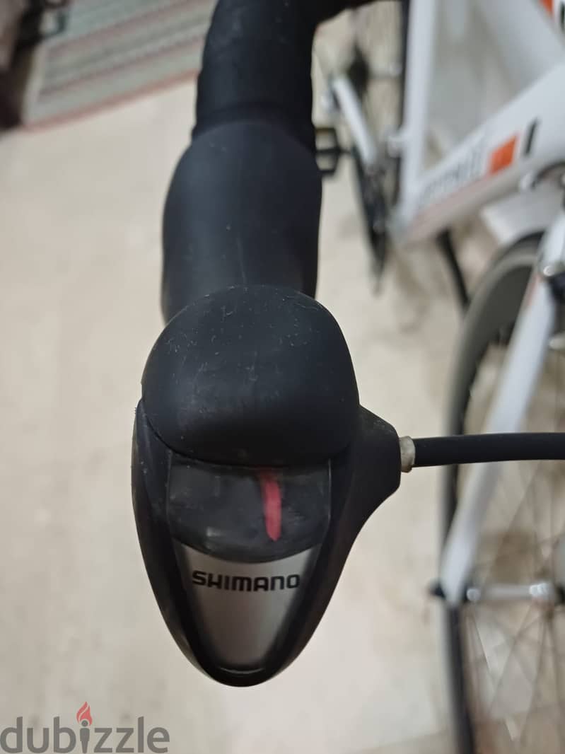 Bianche Road Bike 3