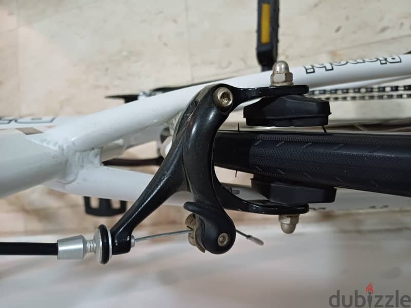Bianche Road Bike 4