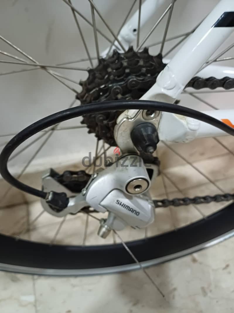 Bianche Road Bike 9