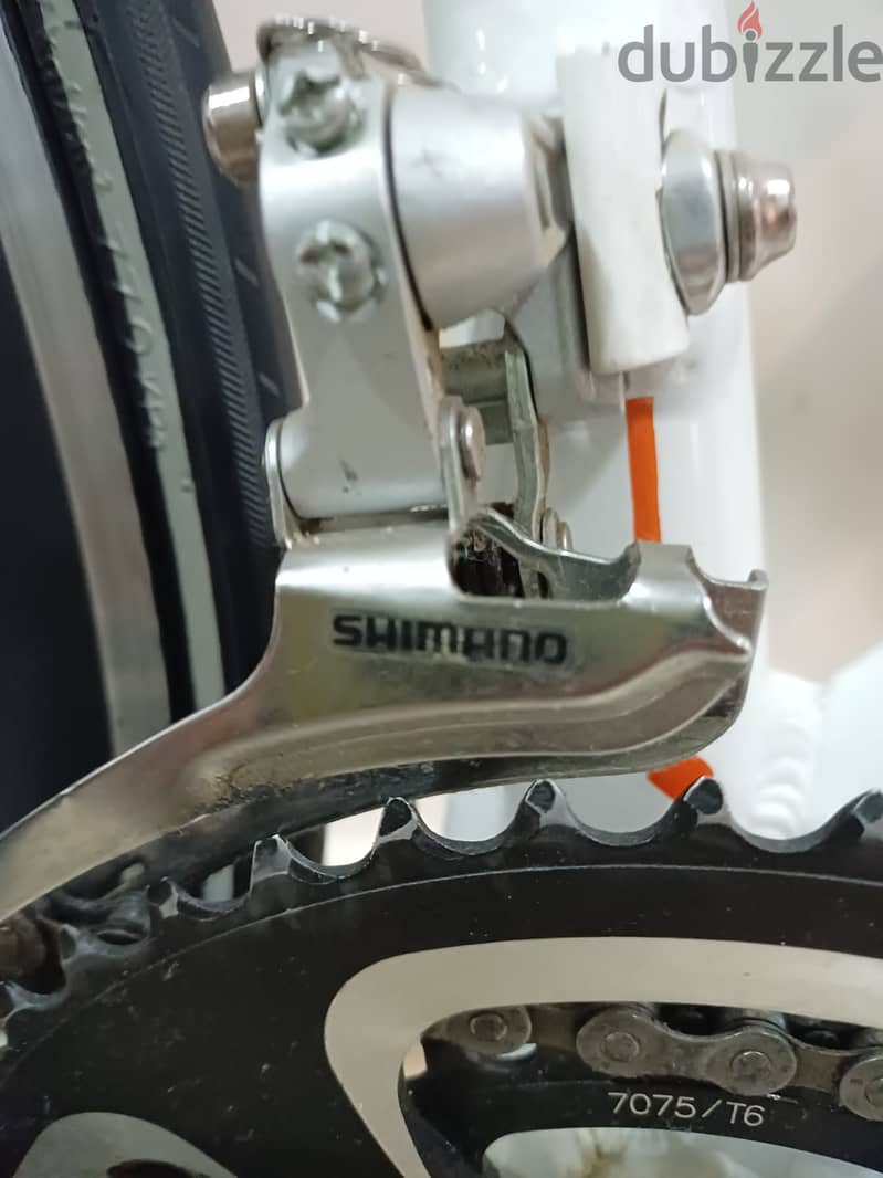 Bianche Road Bike 10
