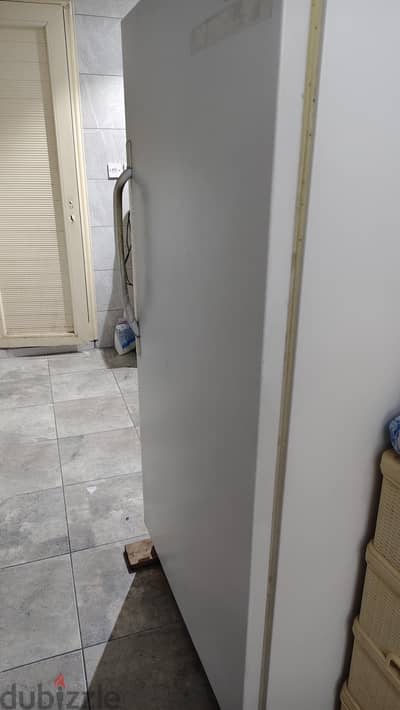 vegetables fridge