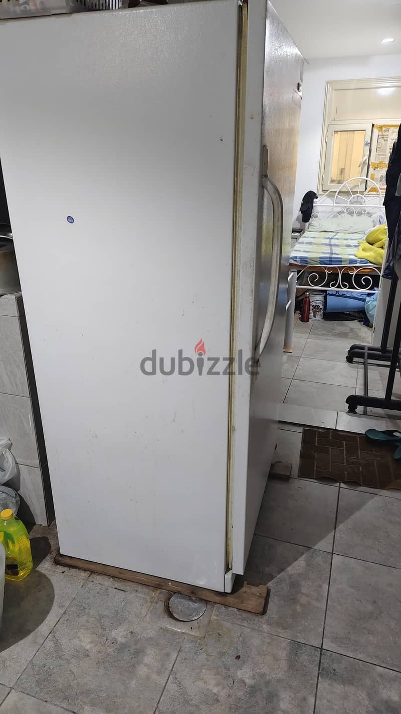 vegetables fridge 1