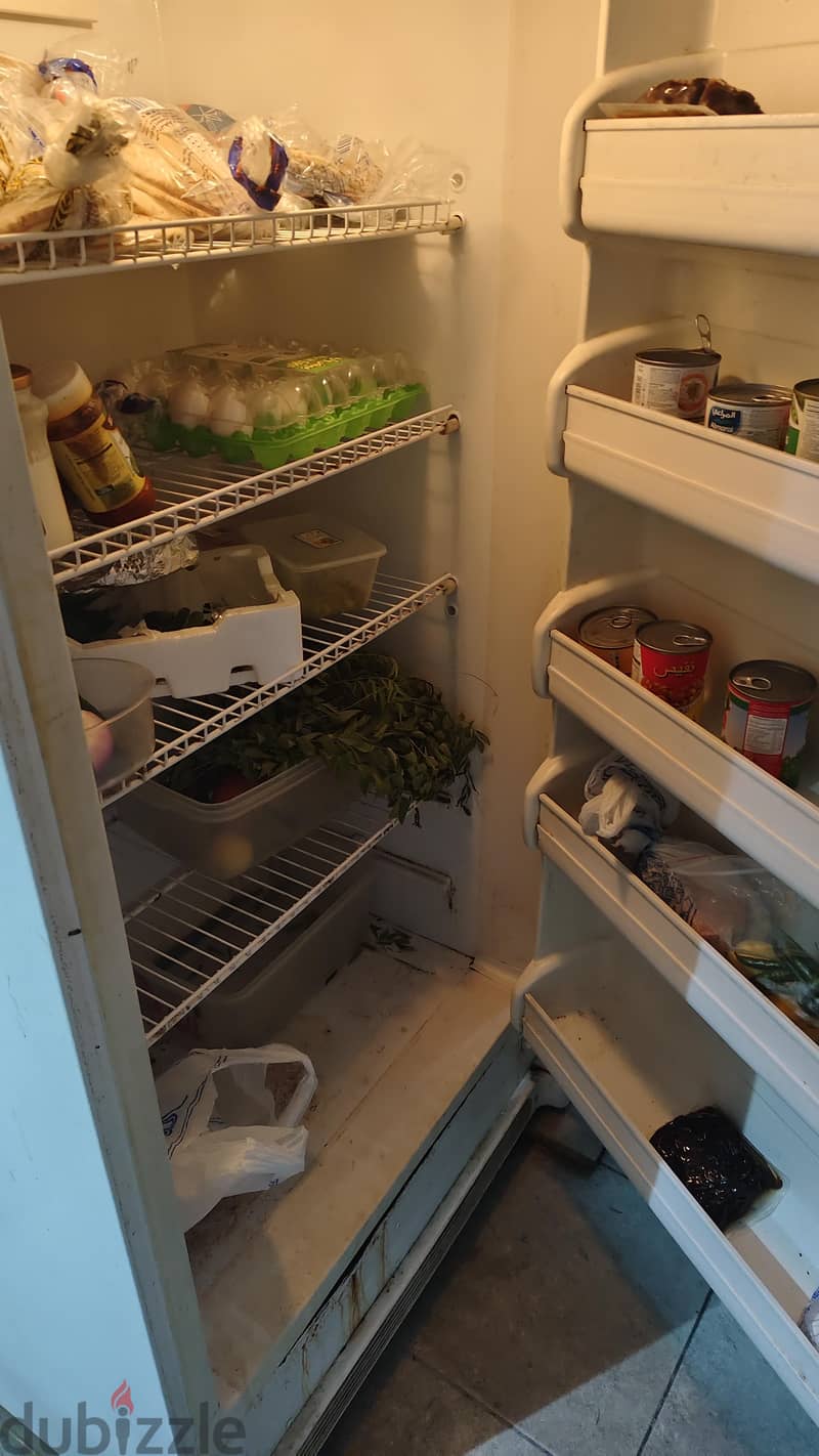vegetables fridge 2