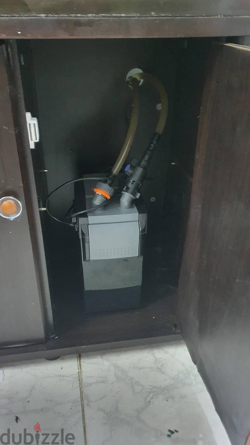 aquarium, fishes, motor 1