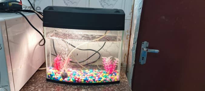 FISH TANK