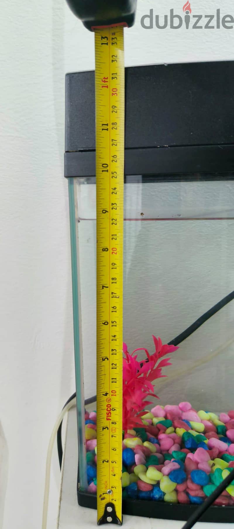 FISH TANK 2