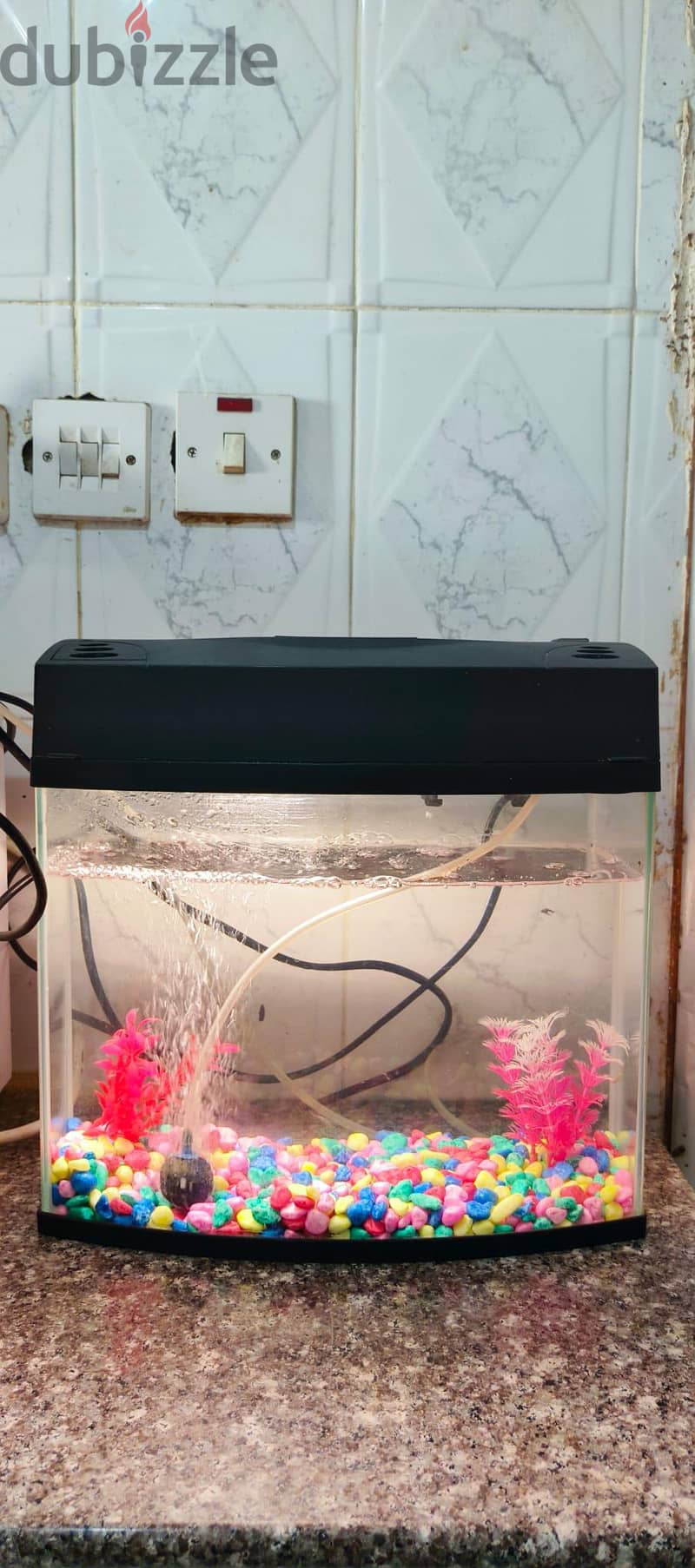 FISH TANK 3