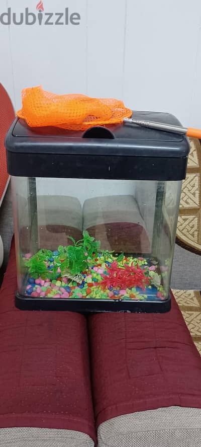 FISH TANK