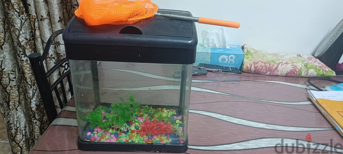 FISH TANK 1