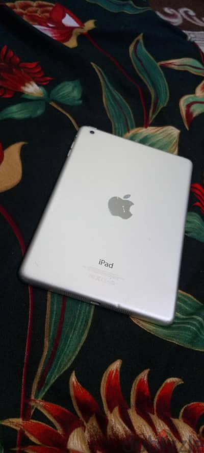 iPad mini