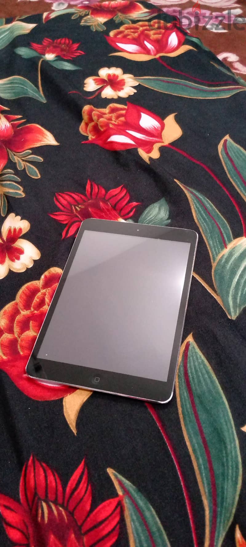 iPad mini 1