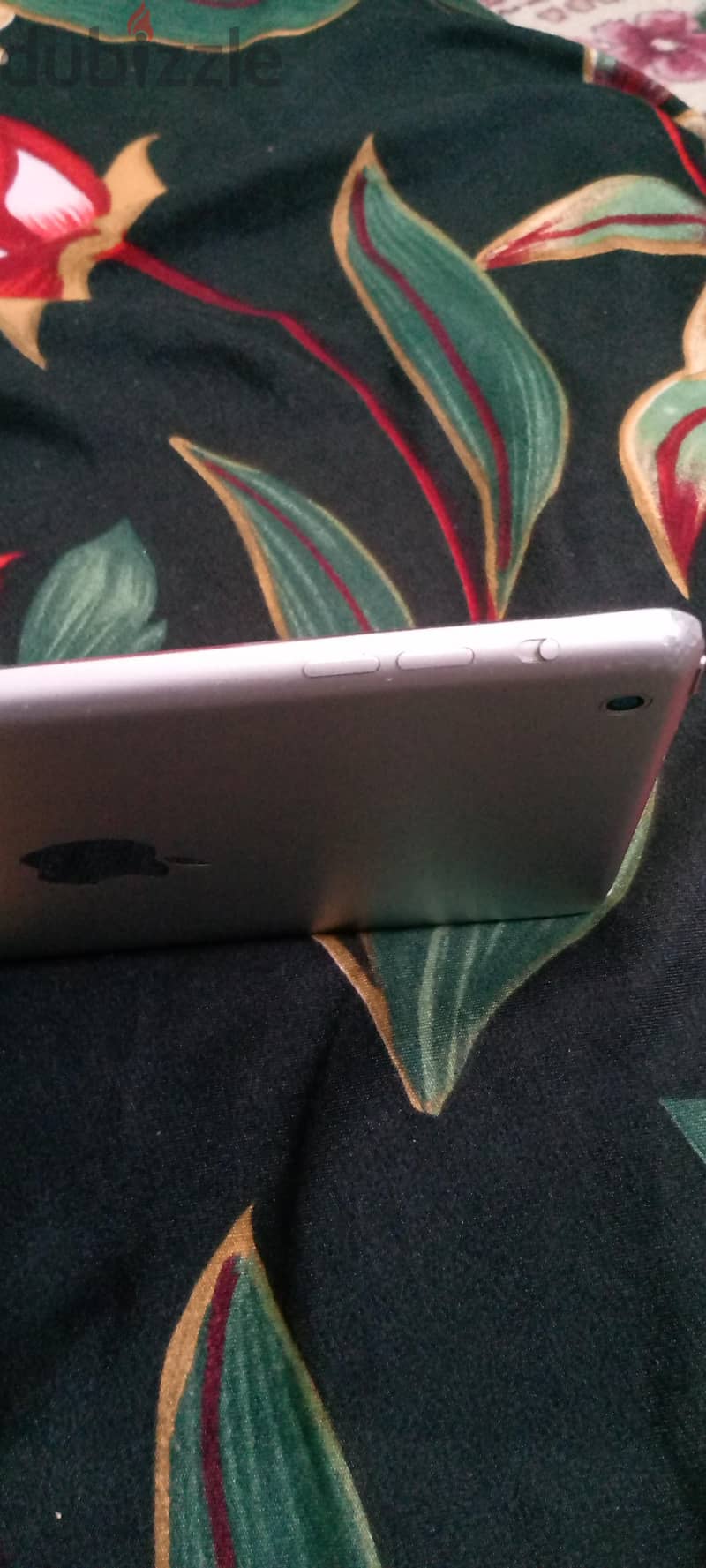 iPad mini 2