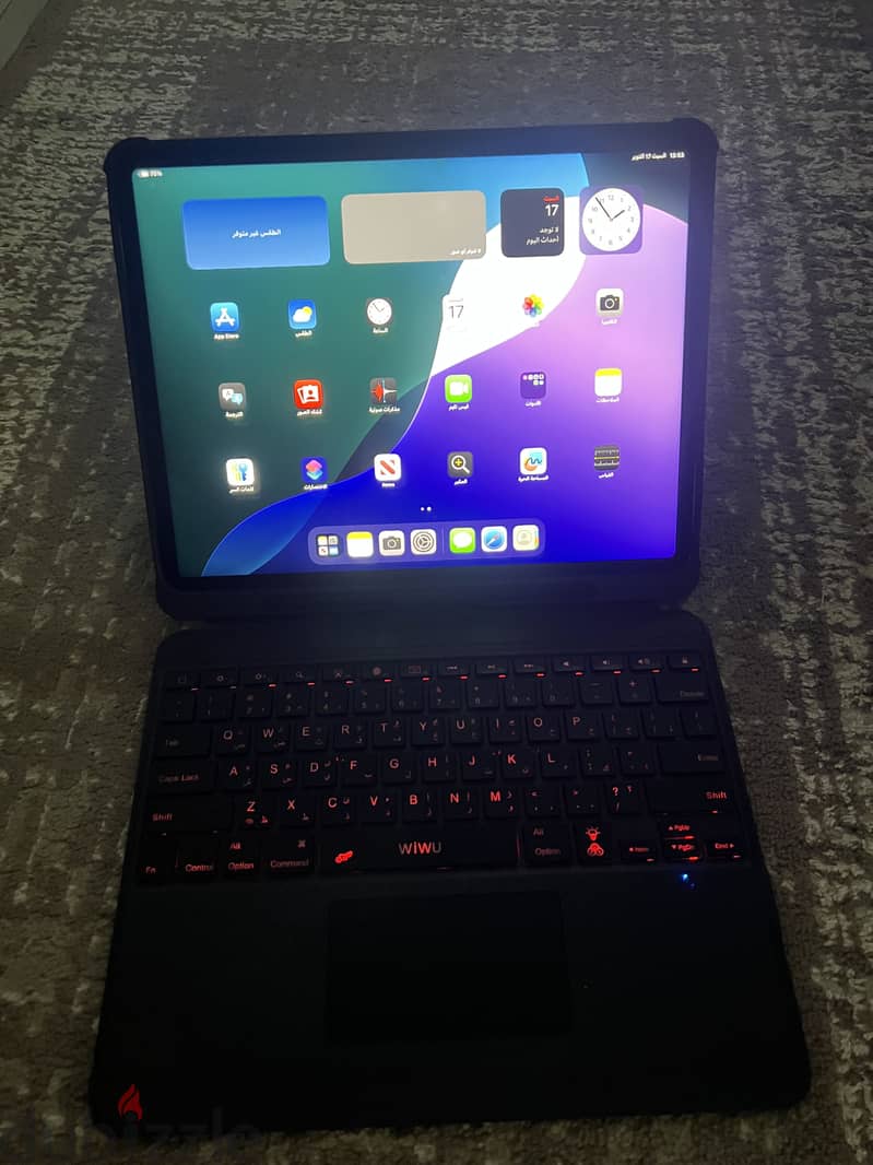 Ipad pro 12.9 inch( 1 terabyte) generation 5 6
